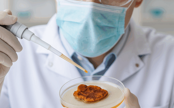 Outkovka kafrová (Antrodia camphorata): vzácný poklad tchajwanských pralesů